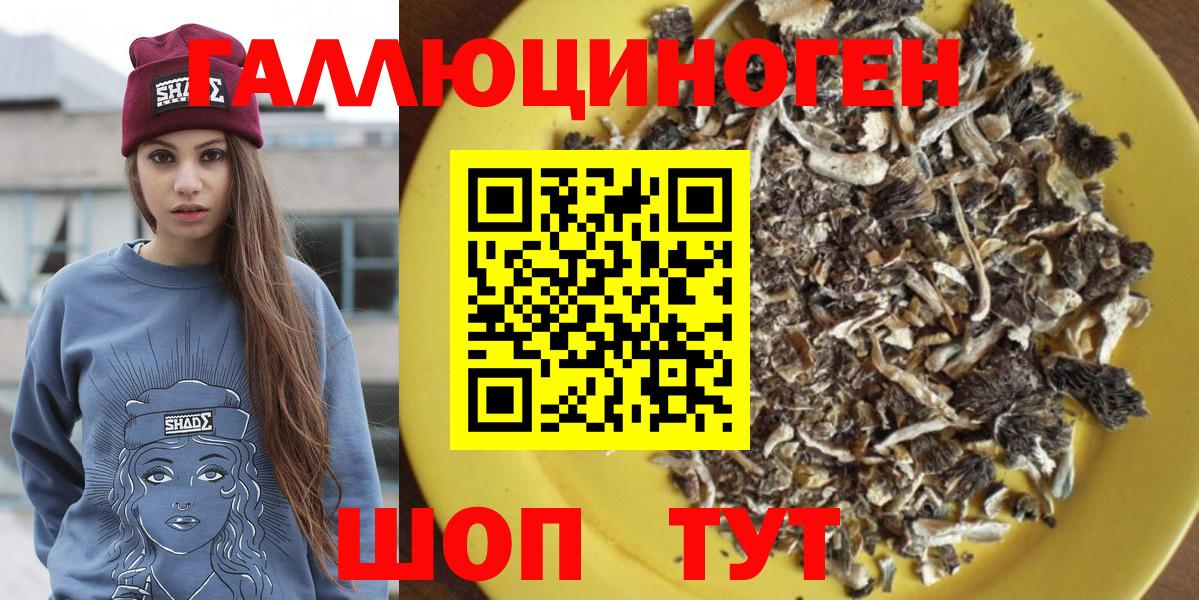 Галлюциногенные грибы мухоморы Туапсе